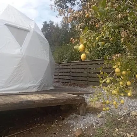 Domo Con Estufa Glamping Gijón
