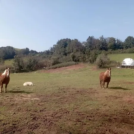 Domo Con Estufa Glamping Gijón