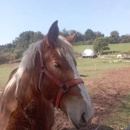 Domo Con Estufa * Χιχόν